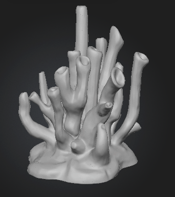 Coral Growth Decor