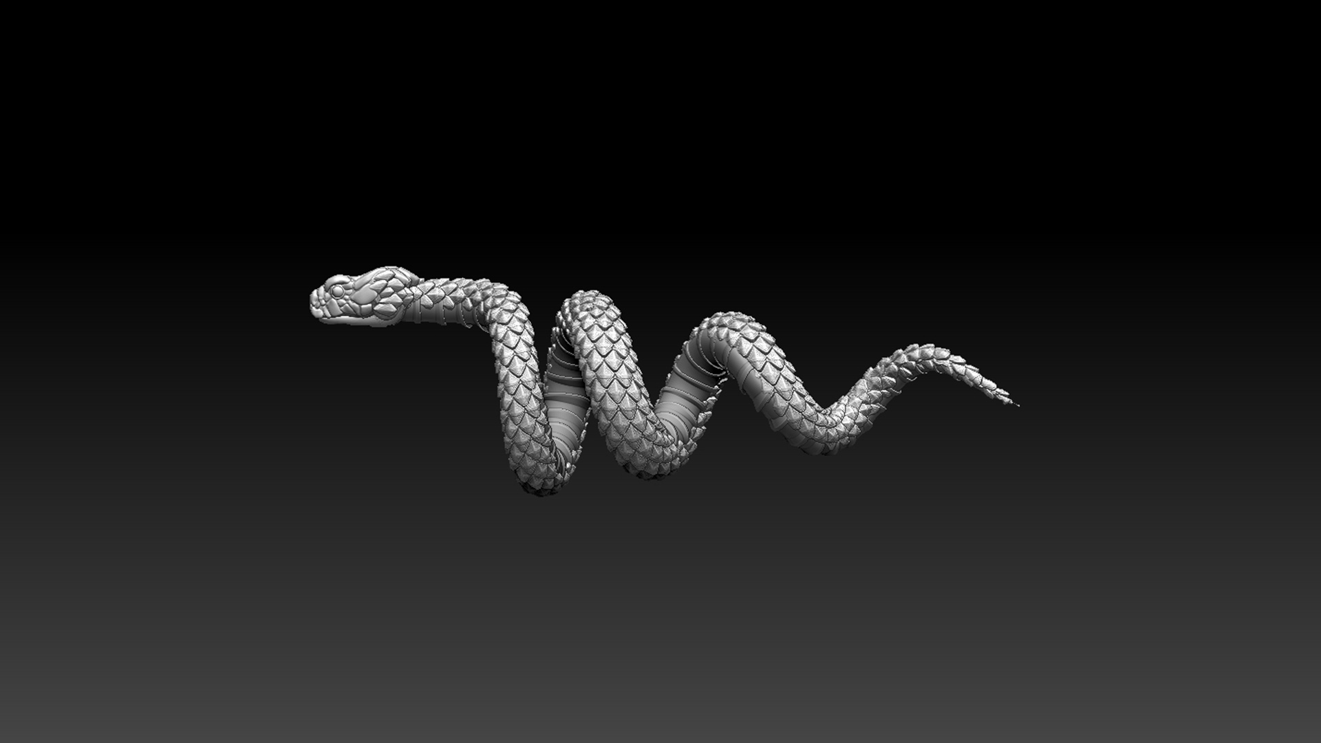 Snake — thumbnail 11