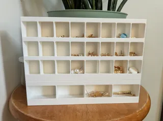 Earring Organizer / Holder