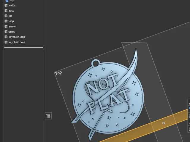 Not Flat Keychain