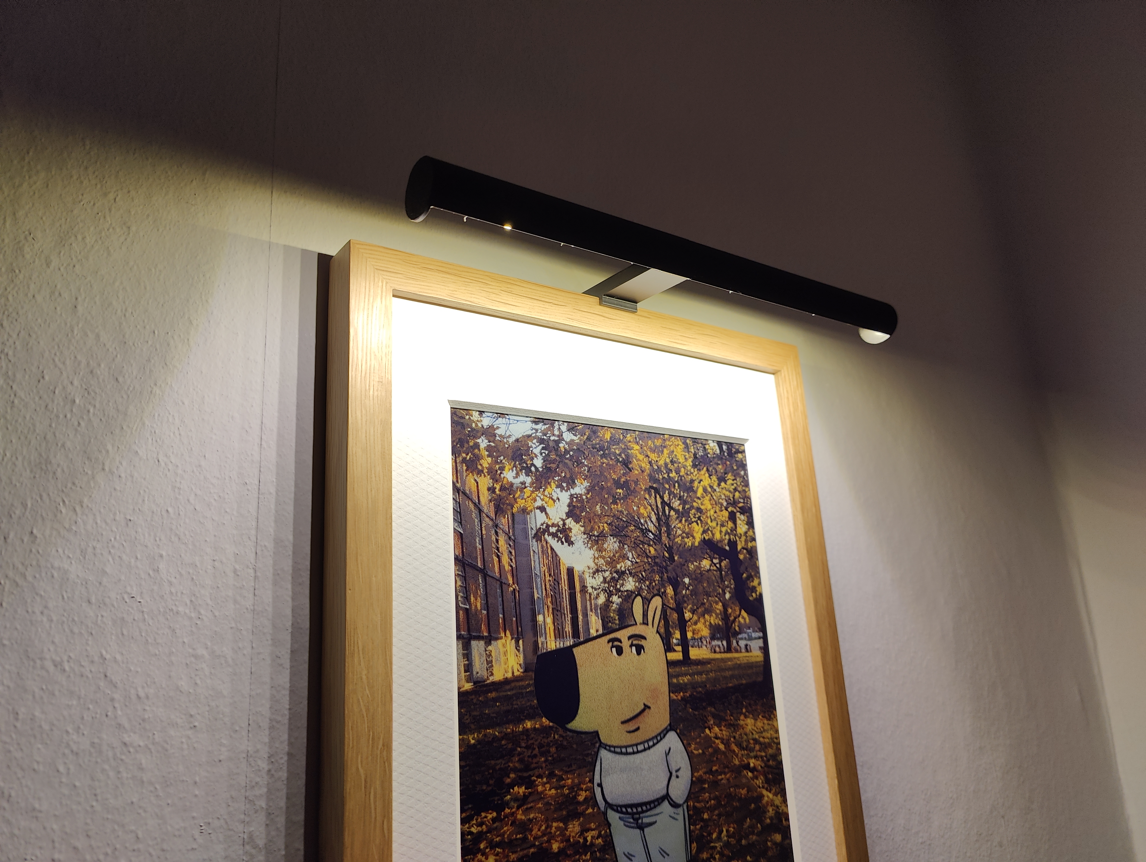 Reflection Frame Light