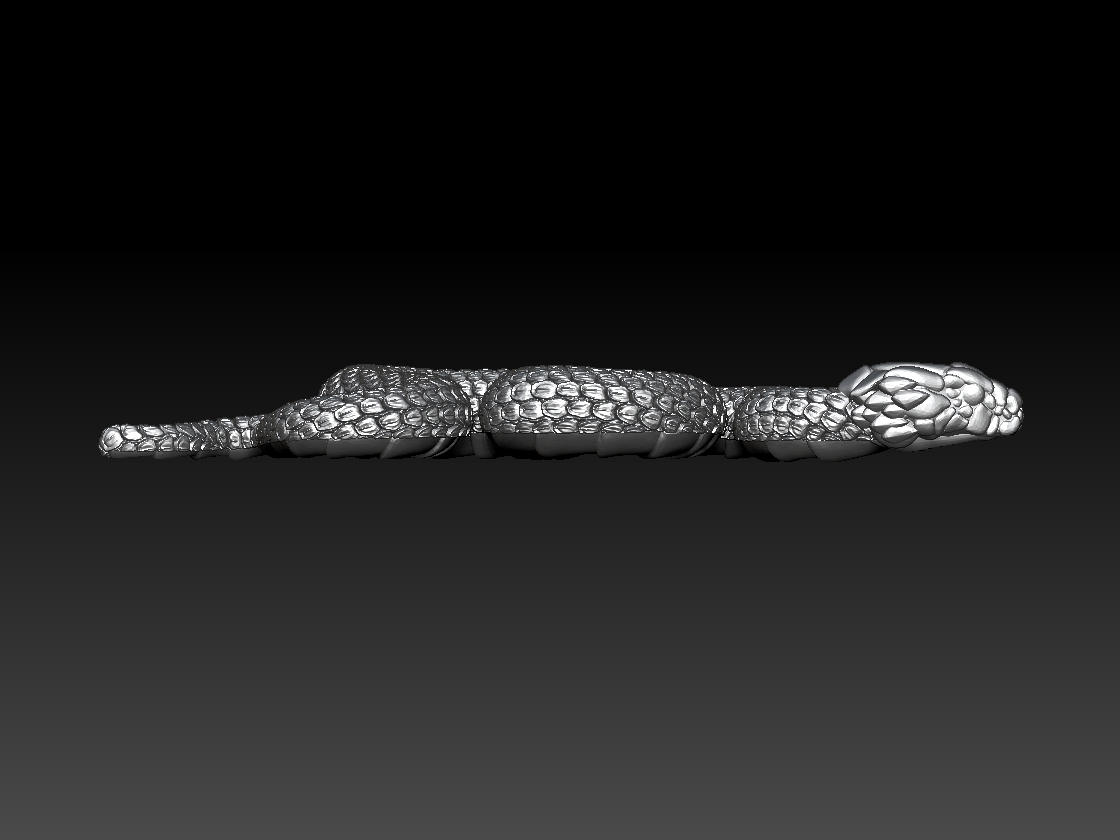 snake — thumbnail 5