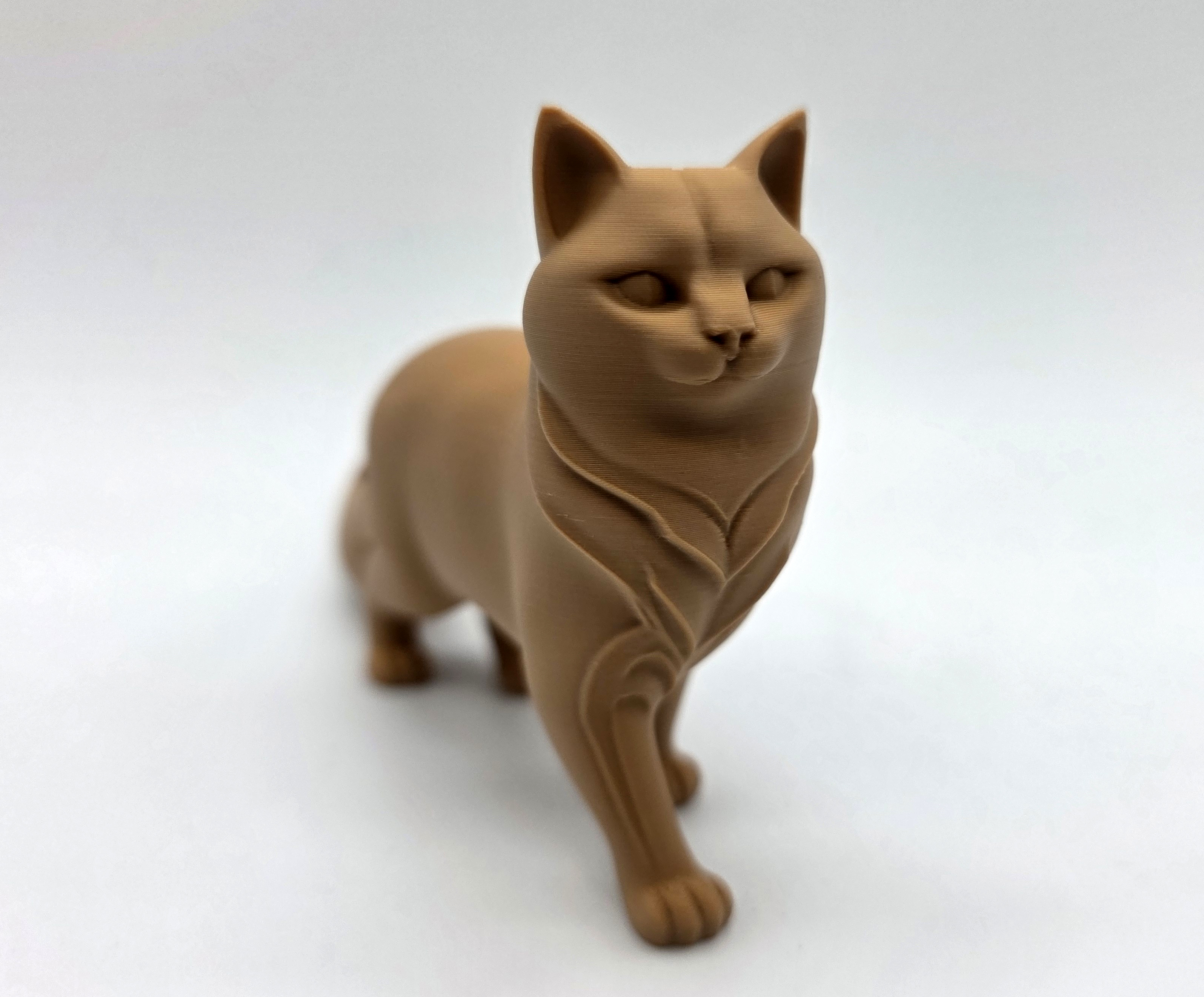 Walking Cat Fluffy Tail — thumbnail 3