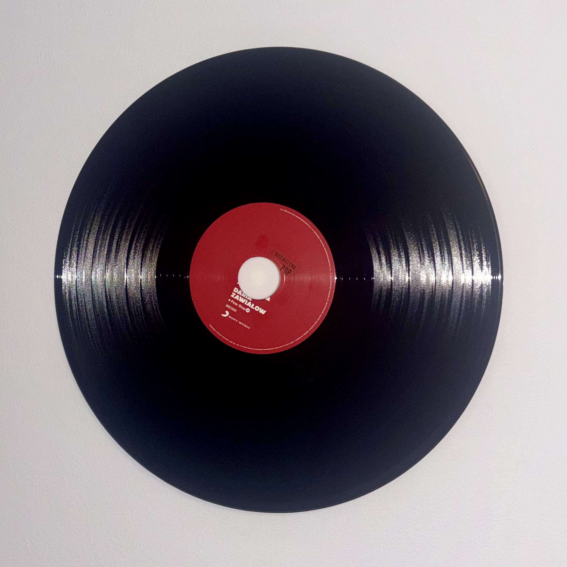 Stylish Vinyl records Hanger ( glue or screw | only 7g of filament )