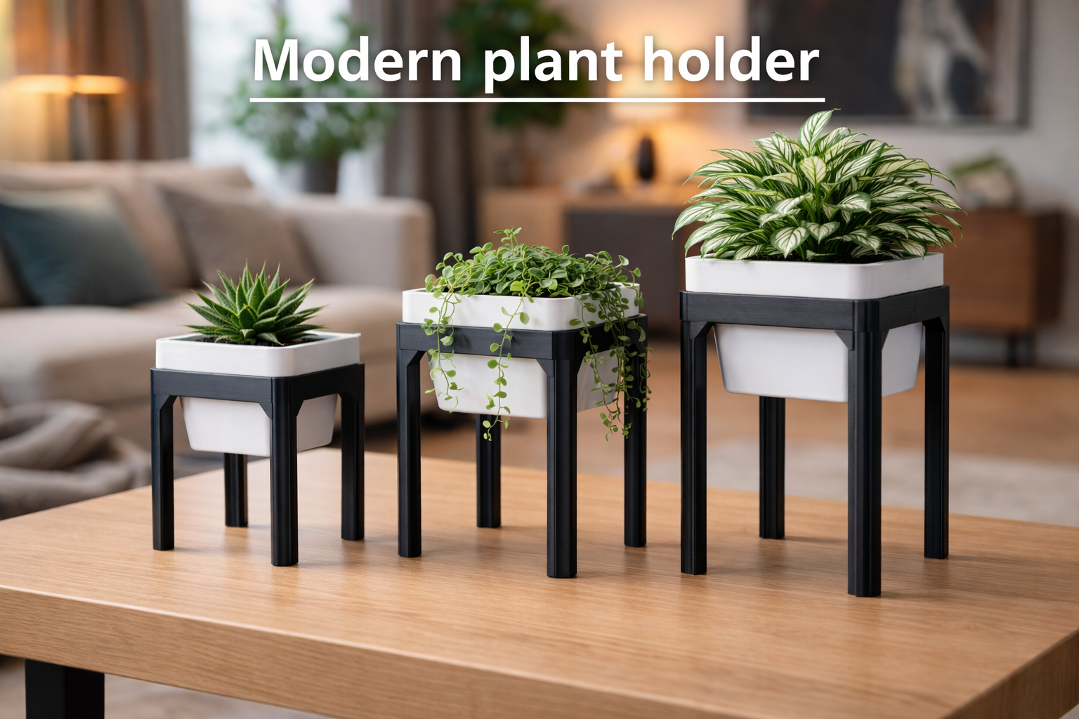 Modern plant holder
