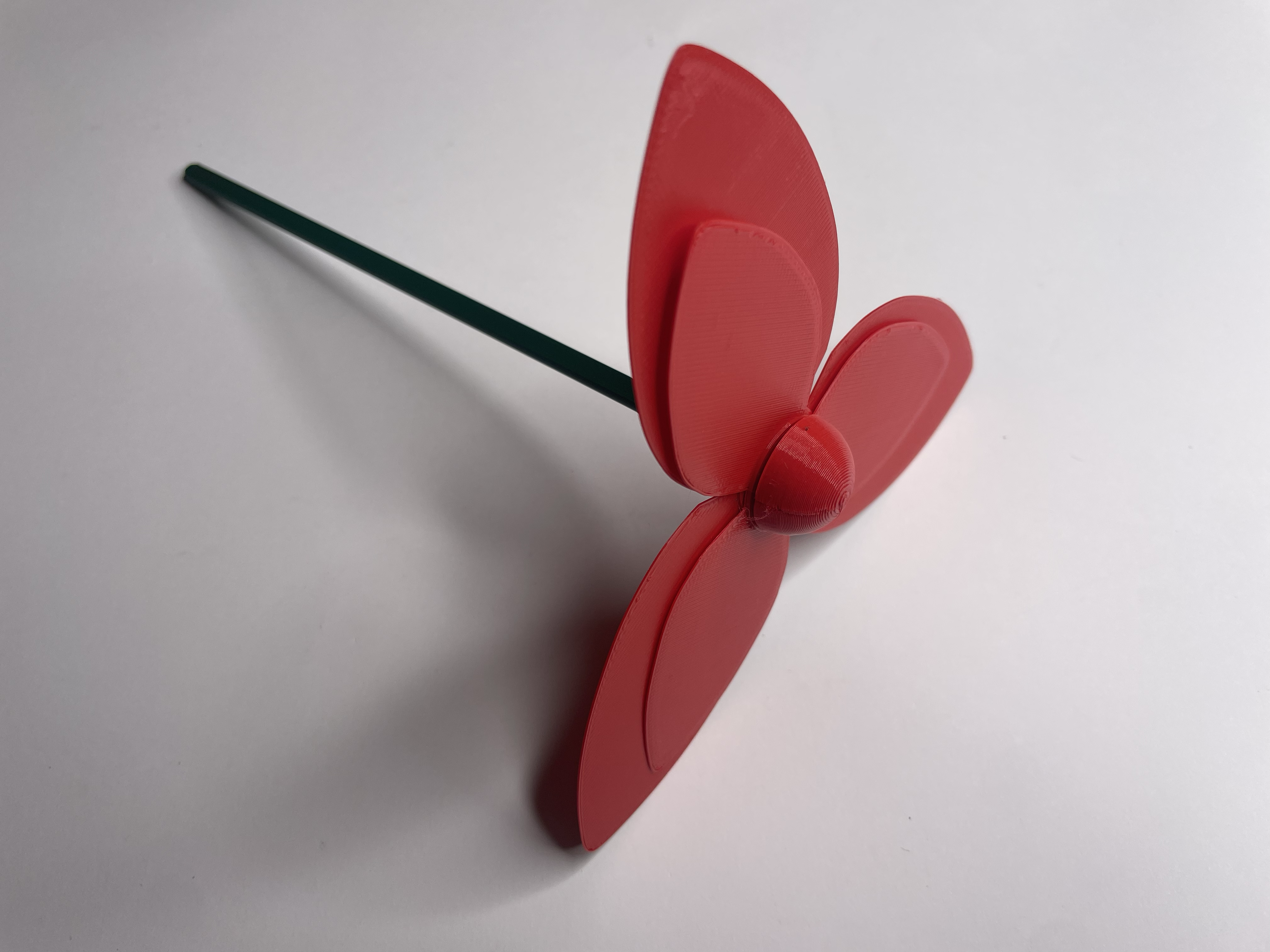Tulip — thumbnail 8