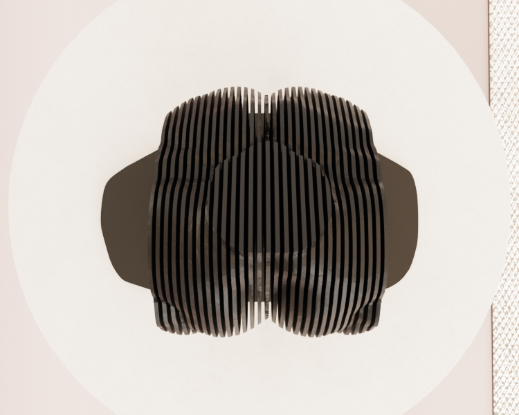 Torso - Sliced — miniatura 3