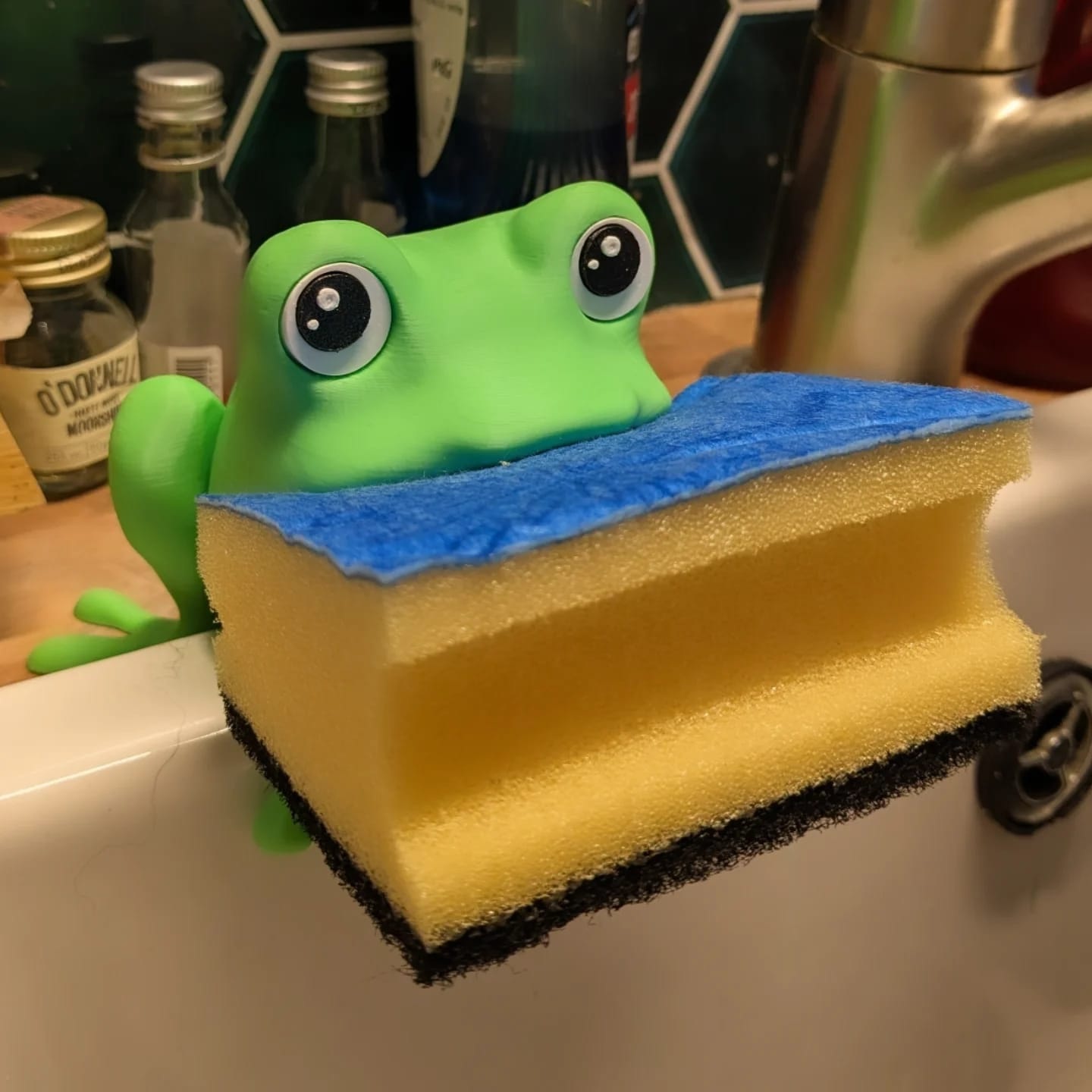 Frog Spongeholder