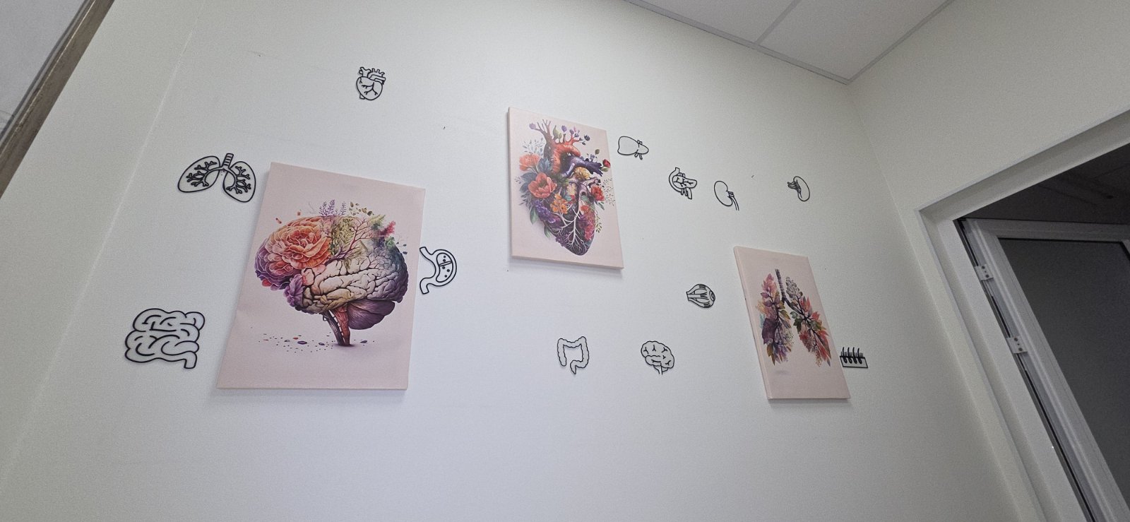 Miniatura 2 do modelo 3D Human organs wall art
