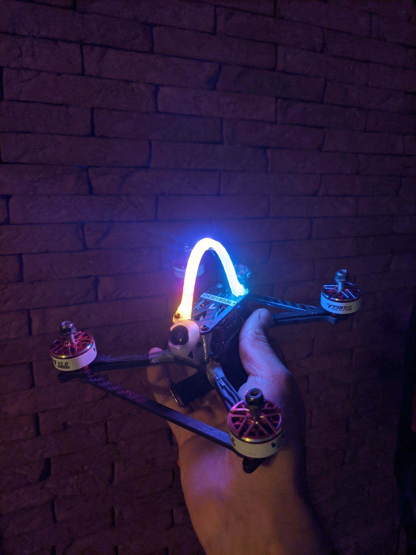 LED Turtle Arch