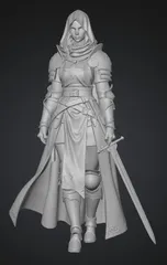Crusader Lady Knight