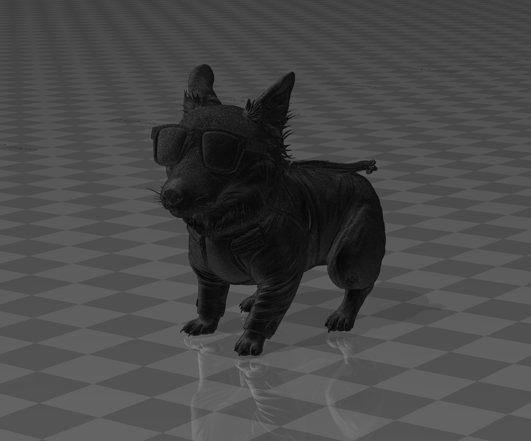 dog with glasses