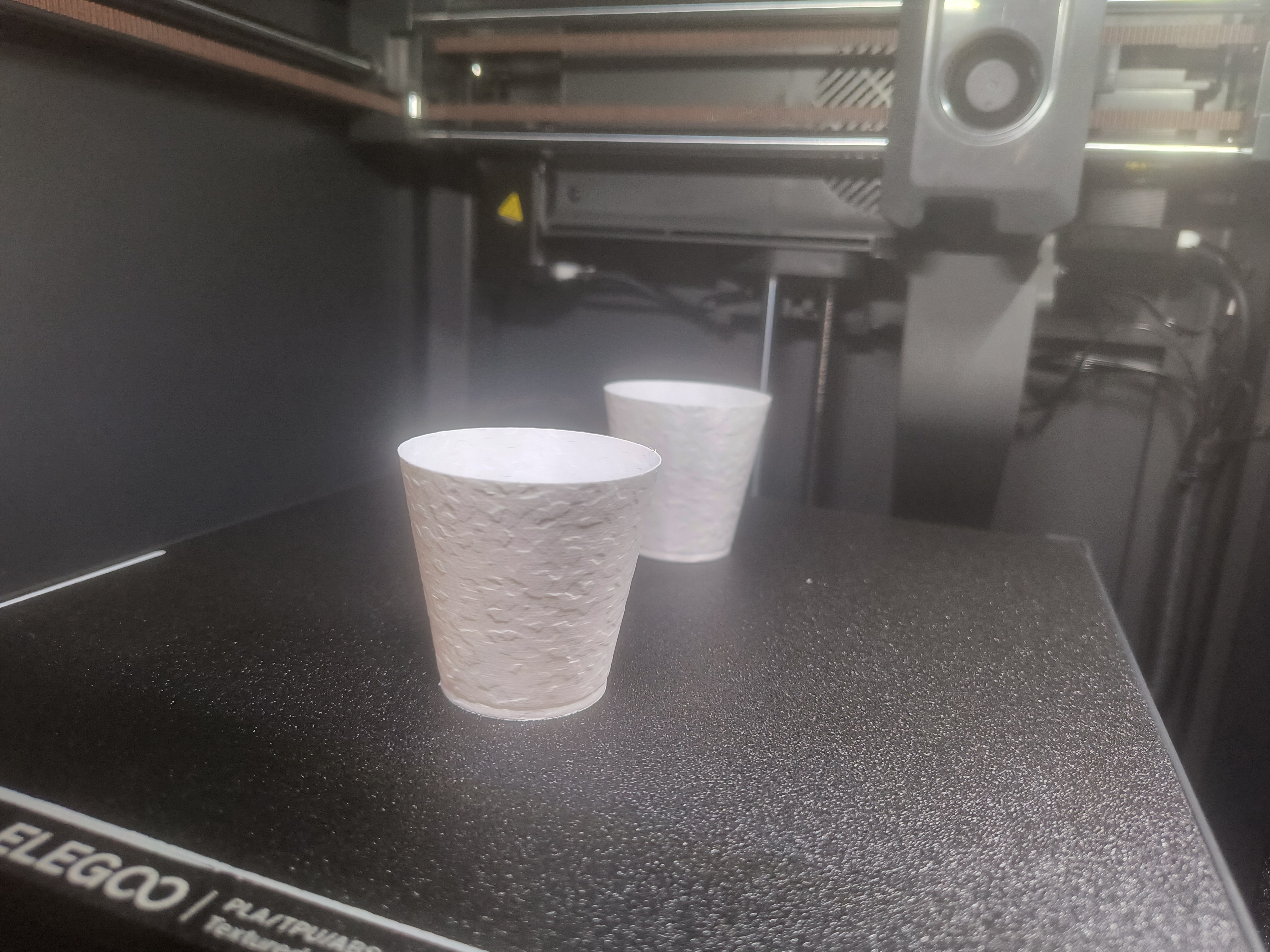 Tissue Culture cup with drainage