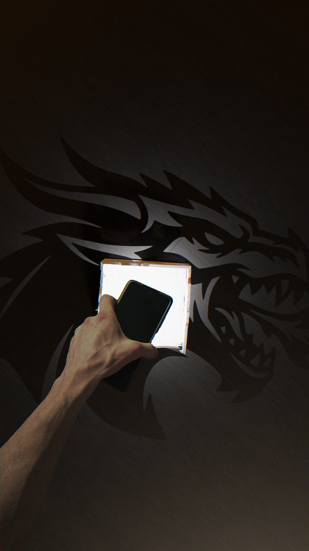 Dragon’s Shadow | Optical Illusion Box