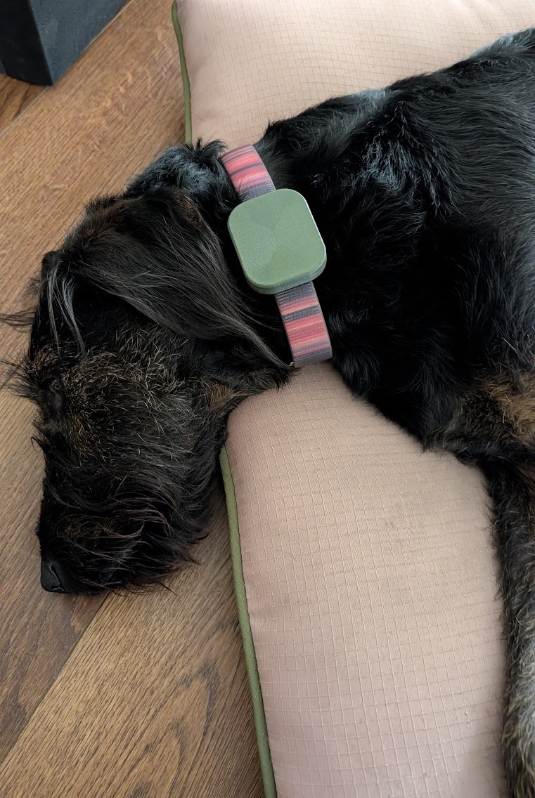 Chipolo Dog Collar Adapter