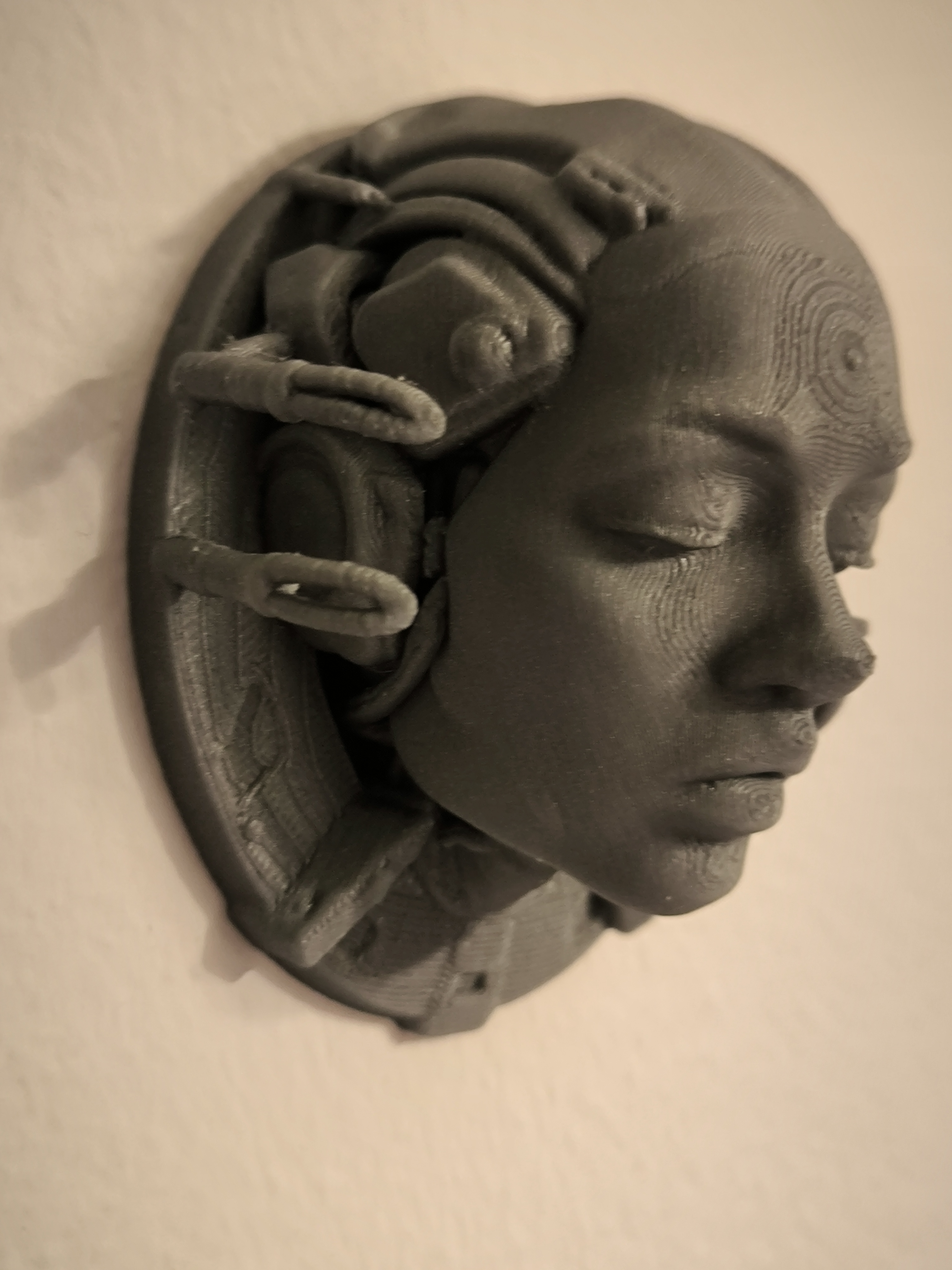 Humanoid Female Head - 3D wall art