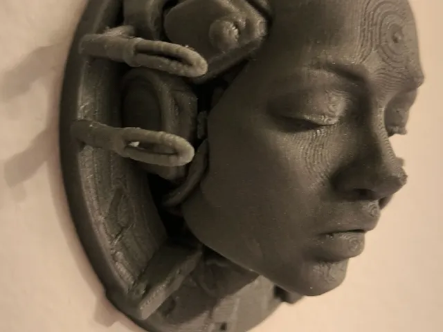 Humanoid Female Head - 3D wall art