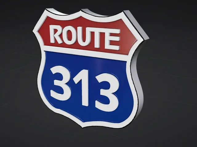 route 313 sign
