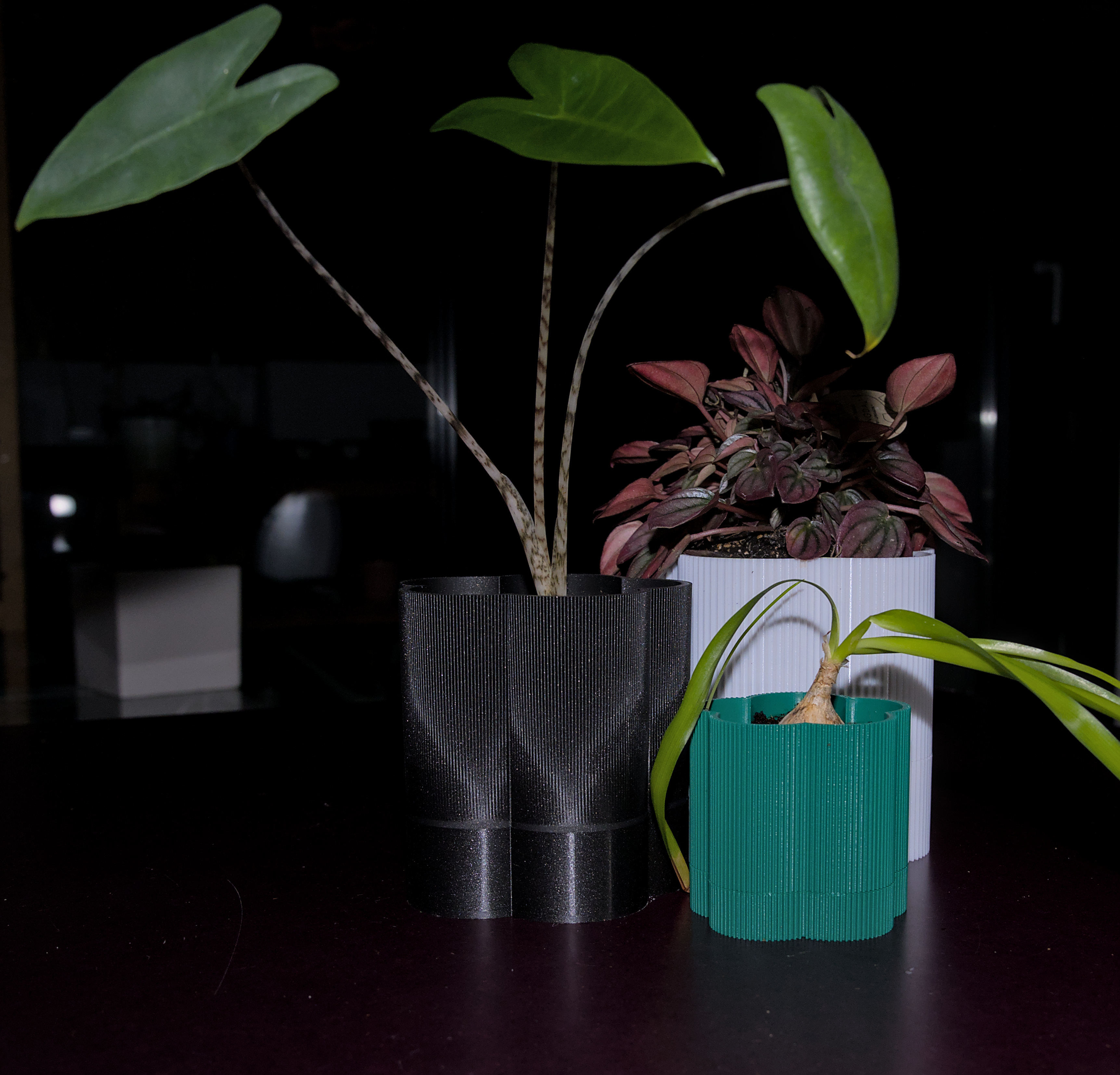 "Florio"  - Self watering Flower Pot Planter, drain, no supports, parametric, multiple sizes