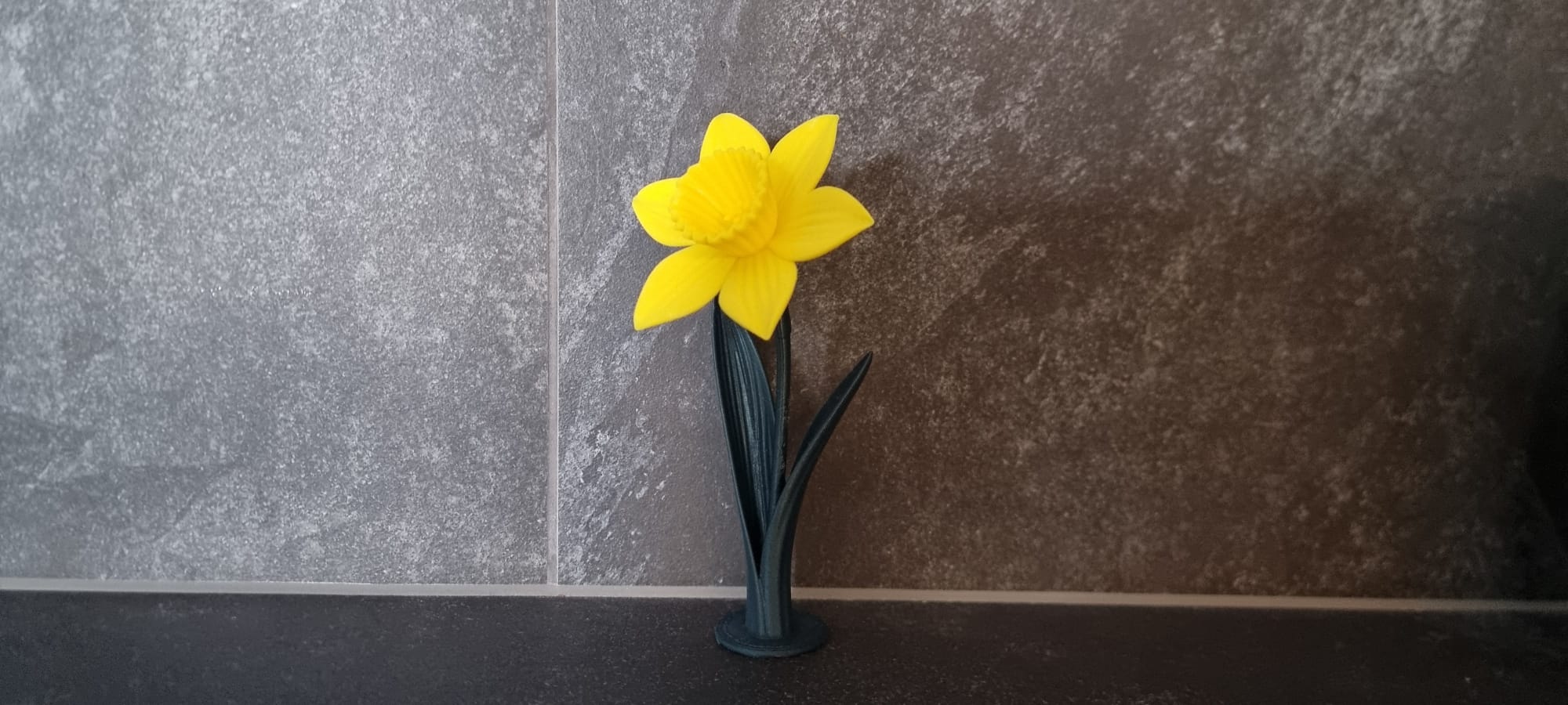Miniatura 4 do modelo 3D Daffodil