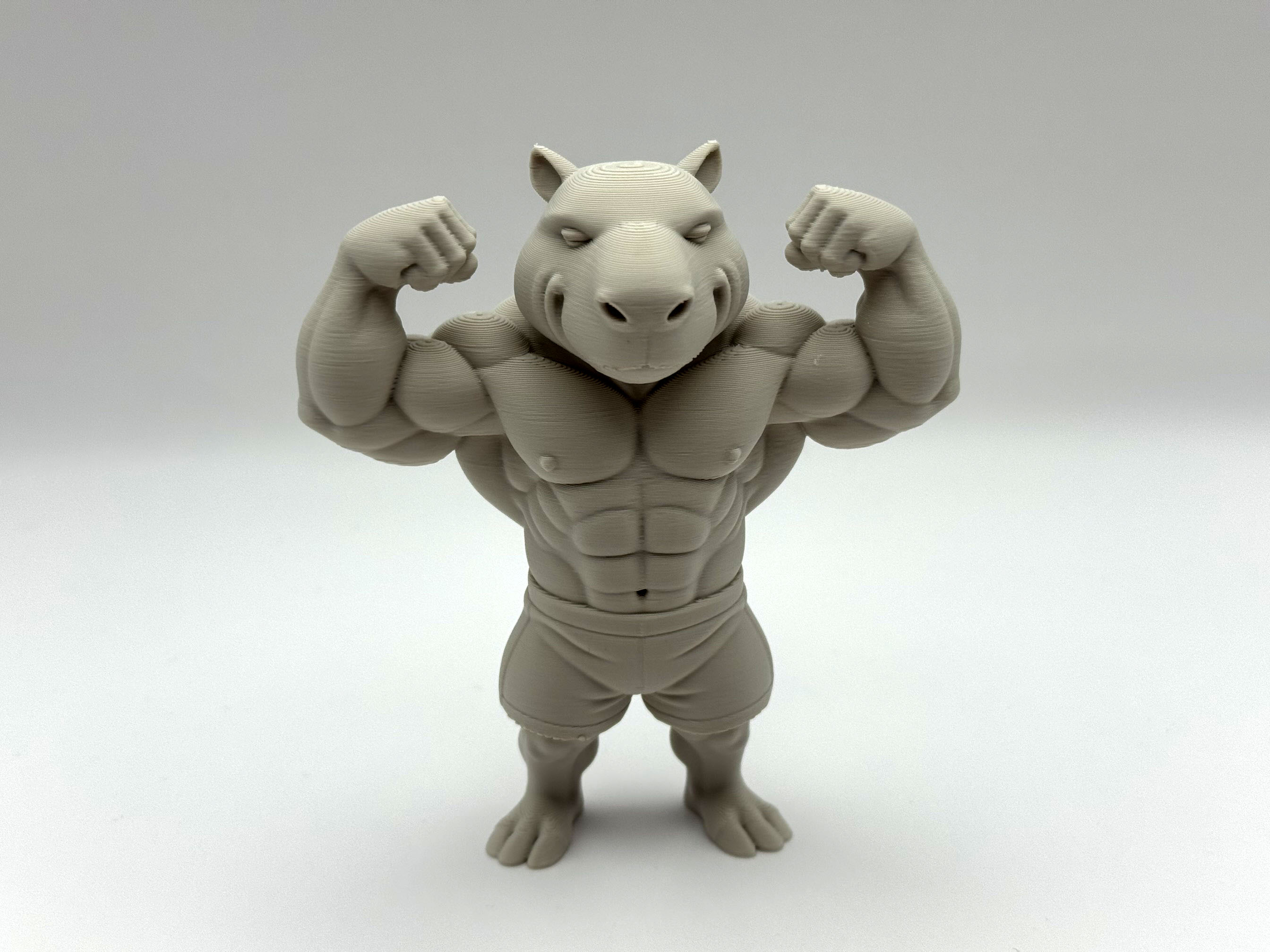 Ripped Capybara — miniatura 6