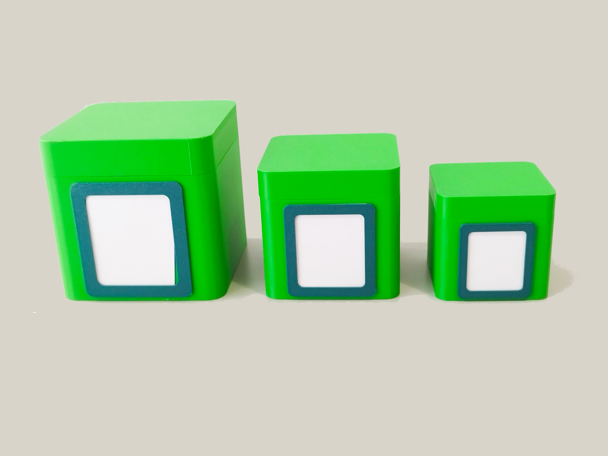 Customizable Labeled Storage Containers