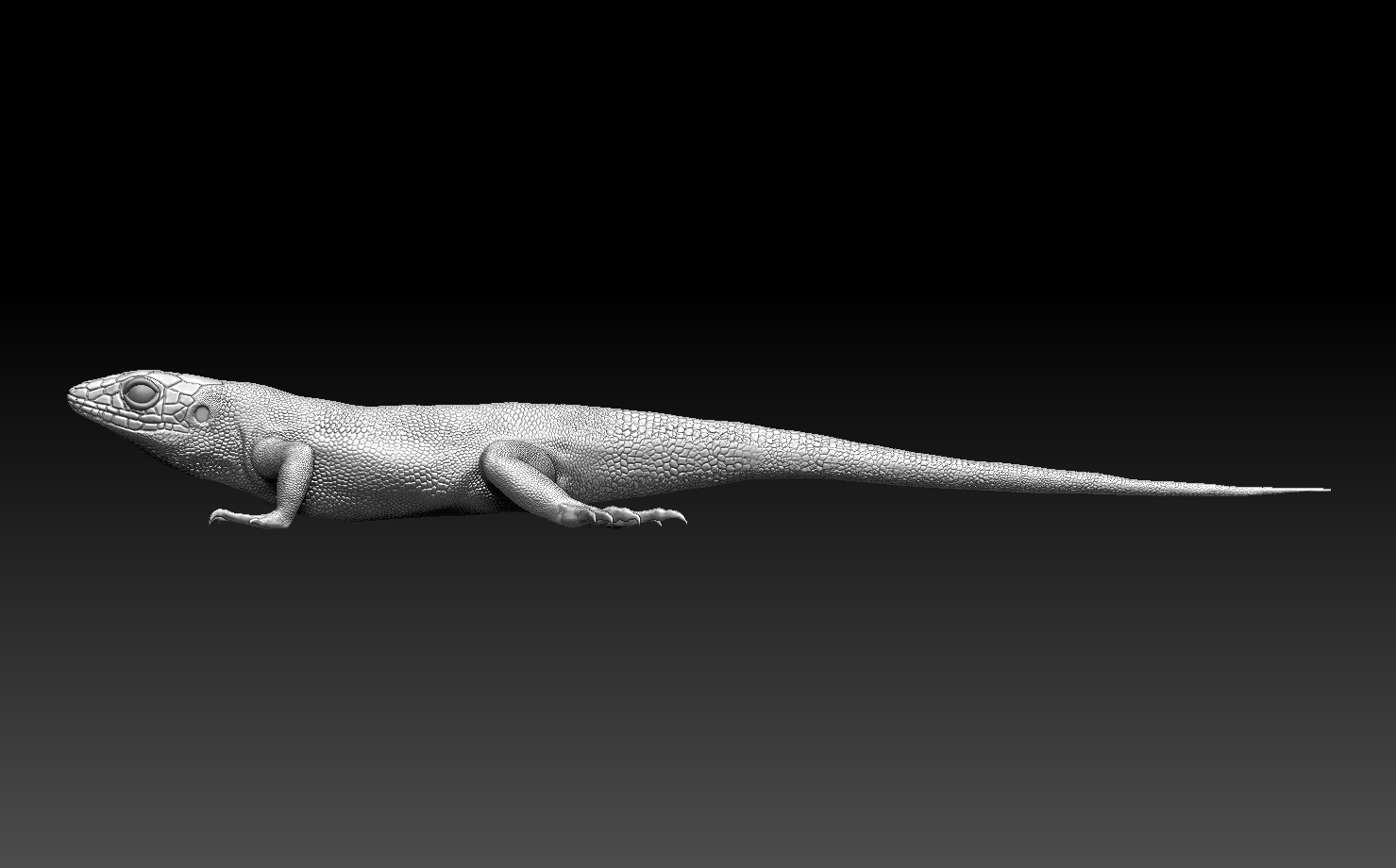 lizard — miniatura 9
