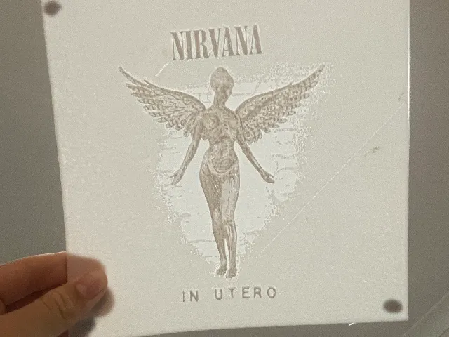 NIRVANA IN UTERO ALBUM COVER NO SUPPORTS LITHOPHANE