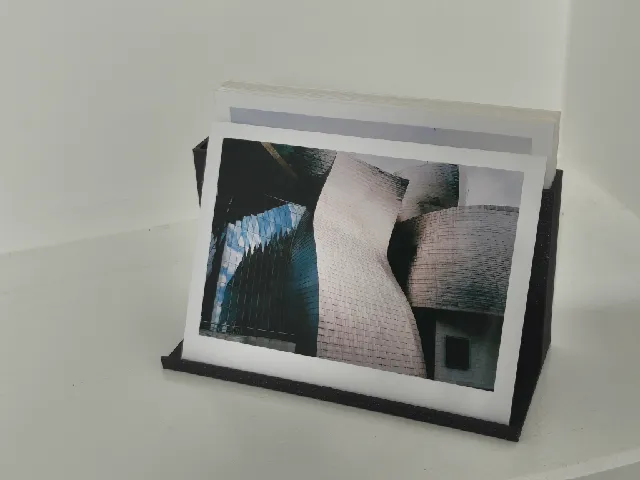 Picture presenter / storage