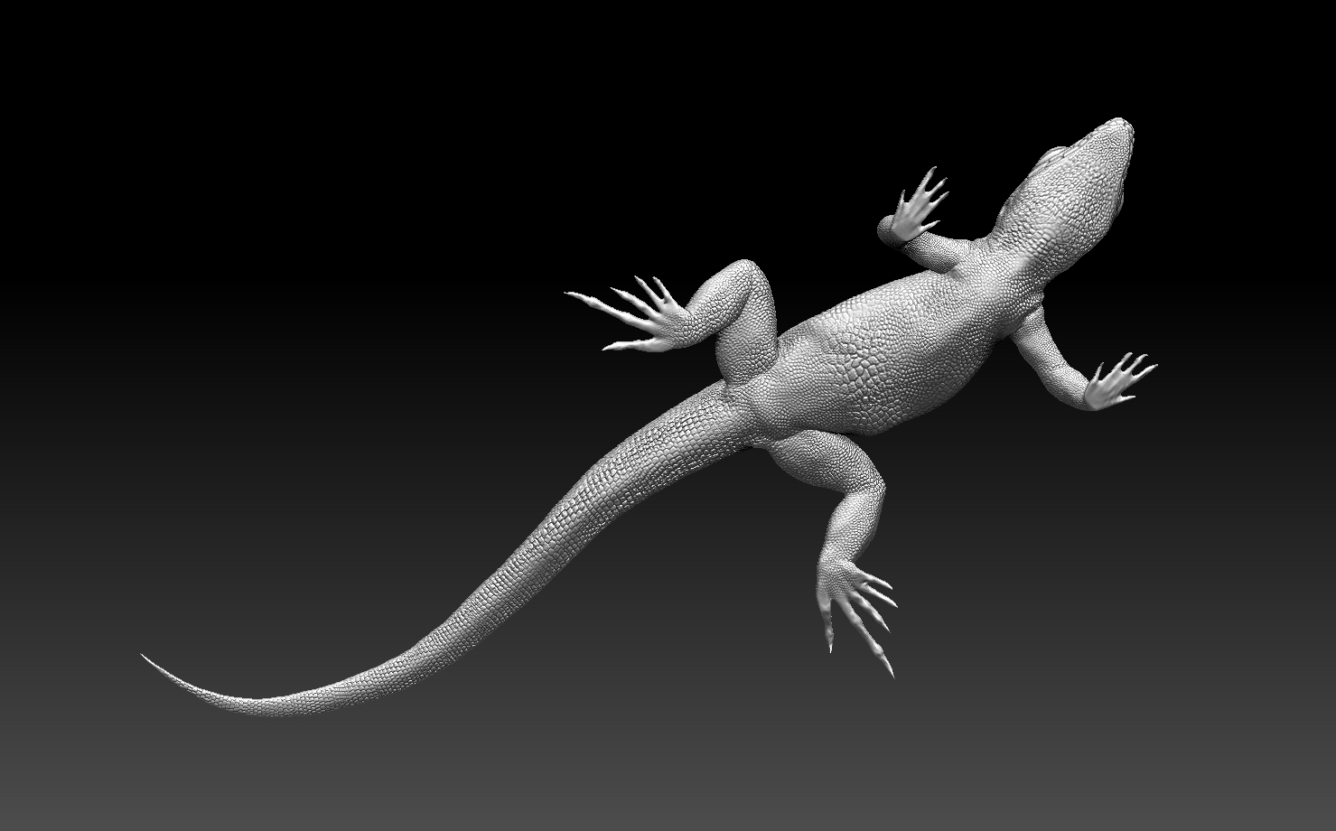 lizard — miniatura 13