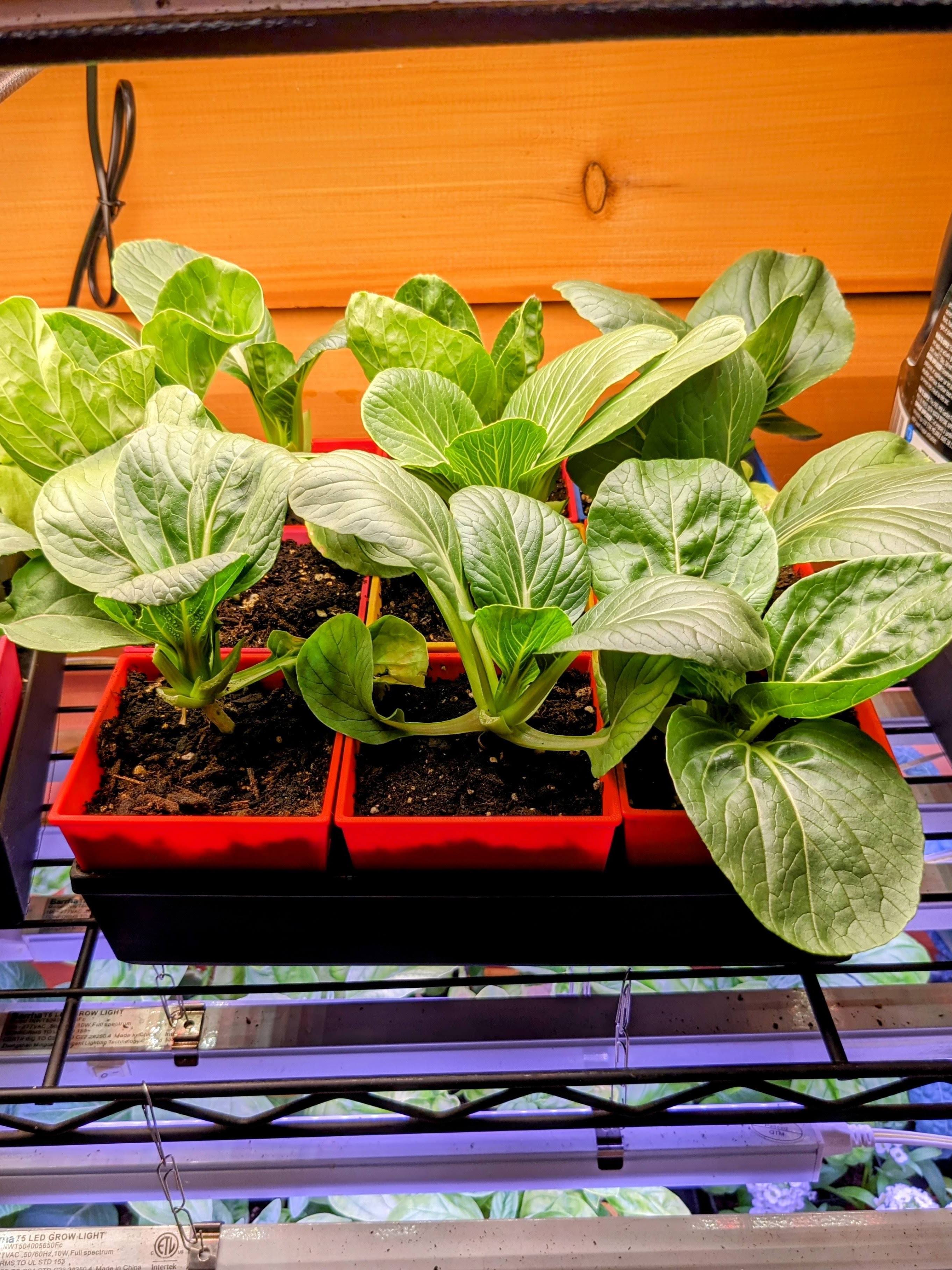 Modular Reusable Seeding Pots — miniatura 8