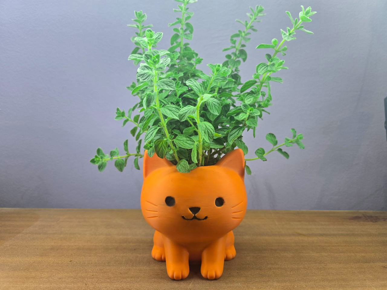 Cute Cat Planter_Vase