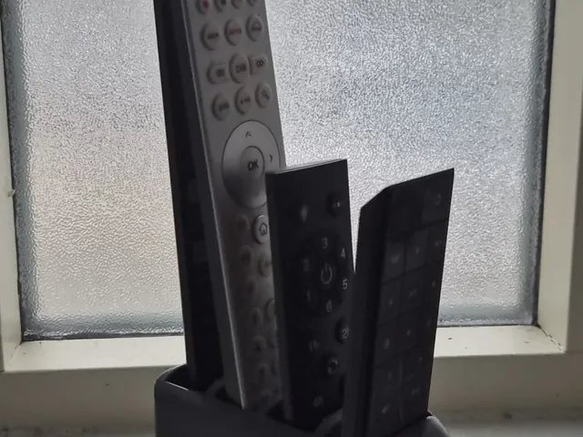 Remote control caddy/organizer