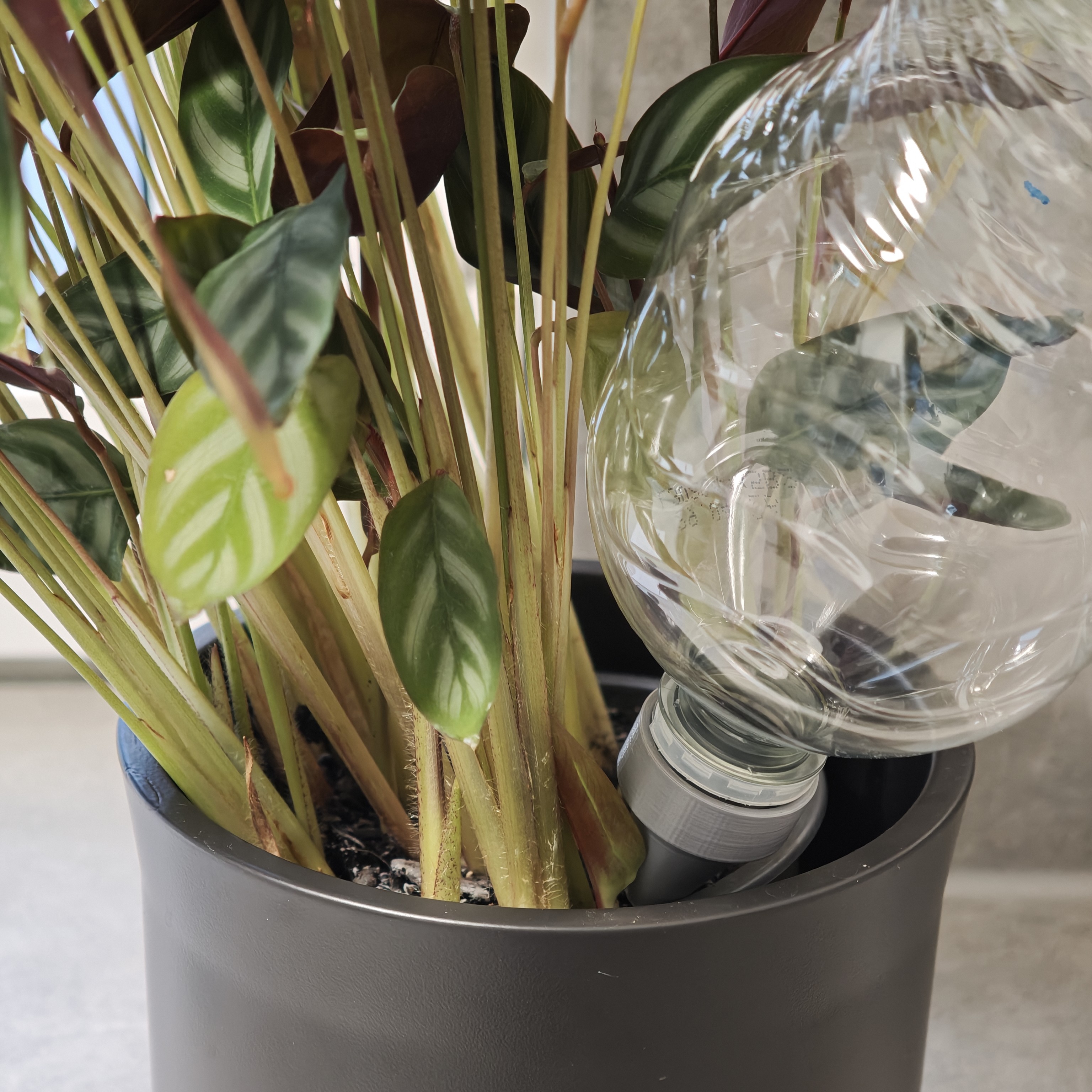 PlantMate - Long-life watering system