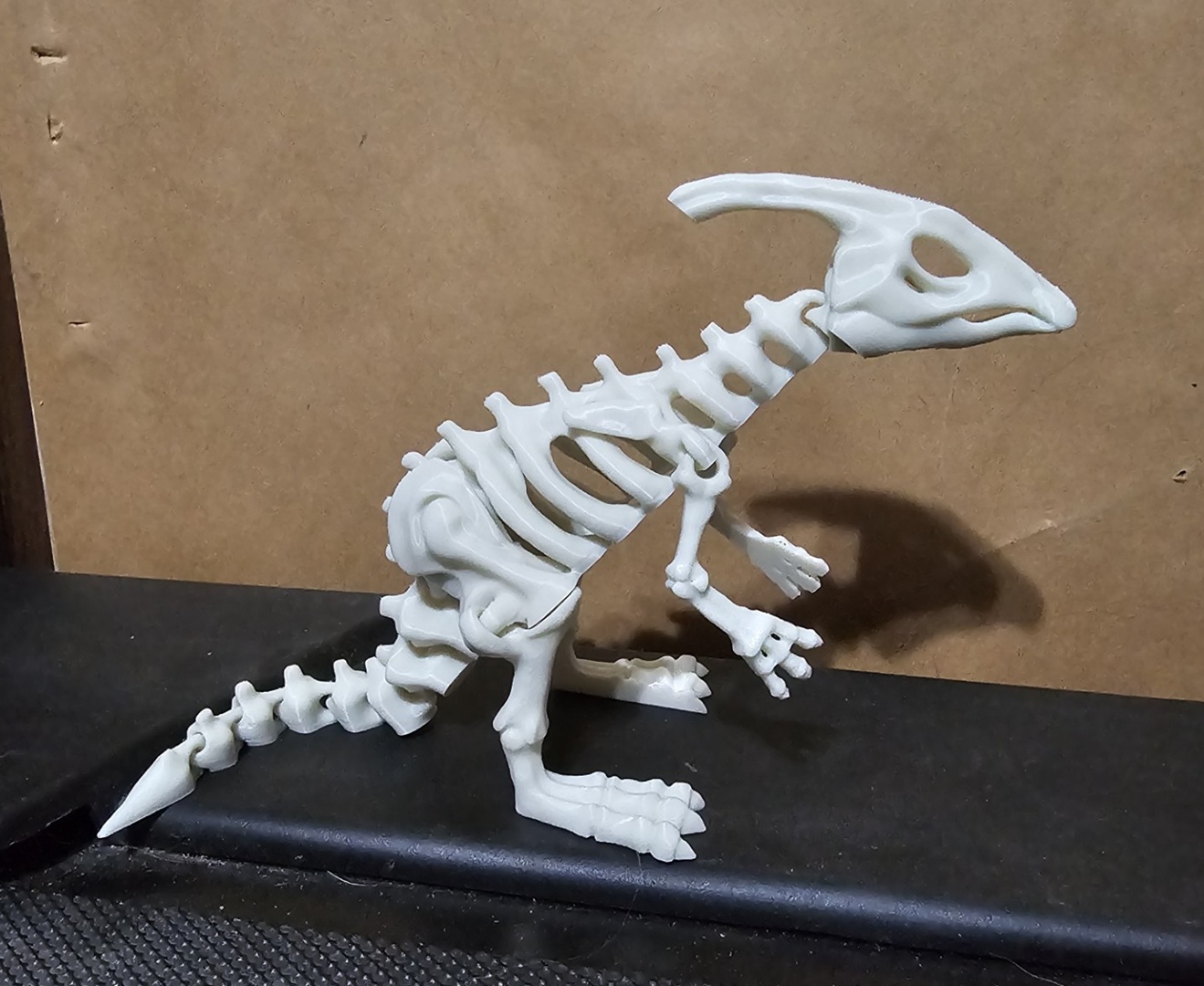 Articulated dinosaur skeleton 6