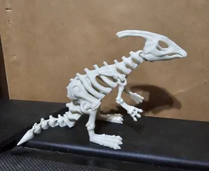 Articulated dinosaur skeleton 6