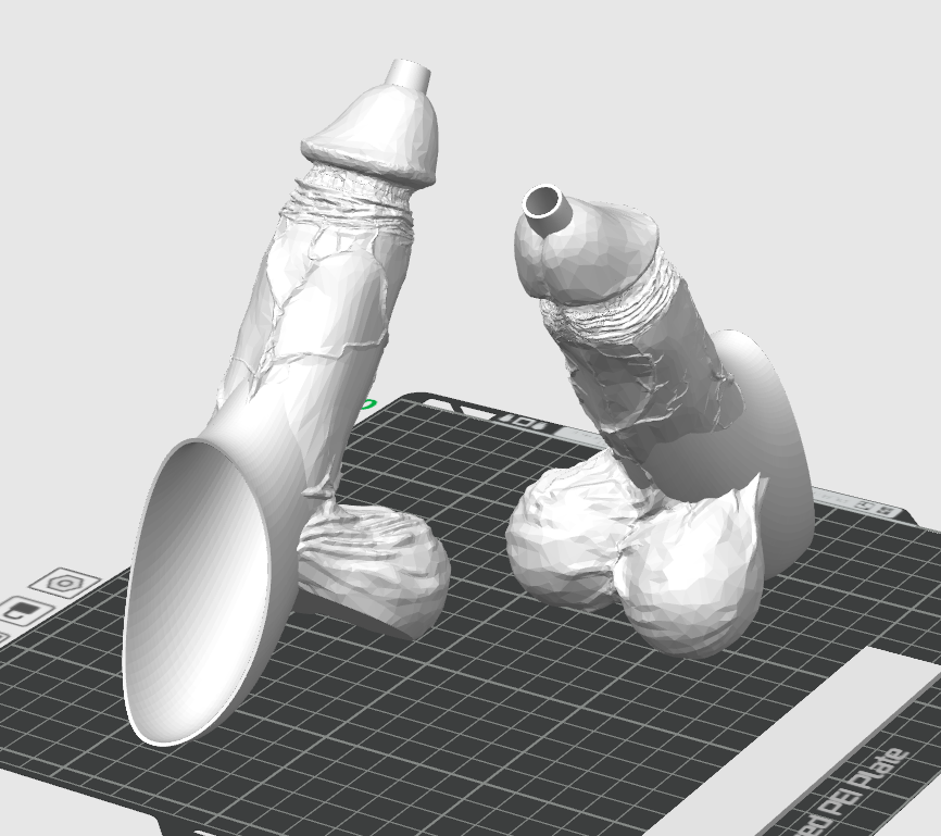 High-Detailed Penis SheWee