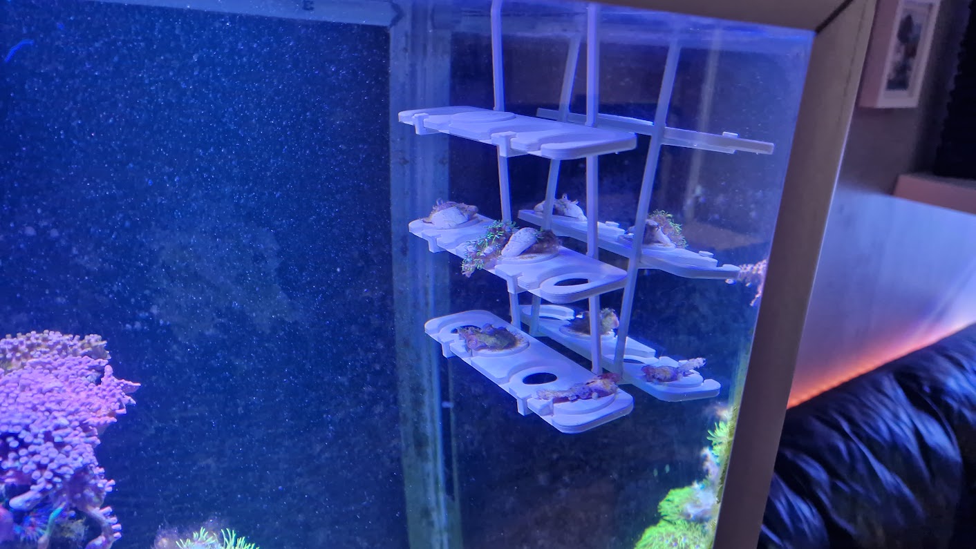 Rim-Compatible CoralFrag Hangers