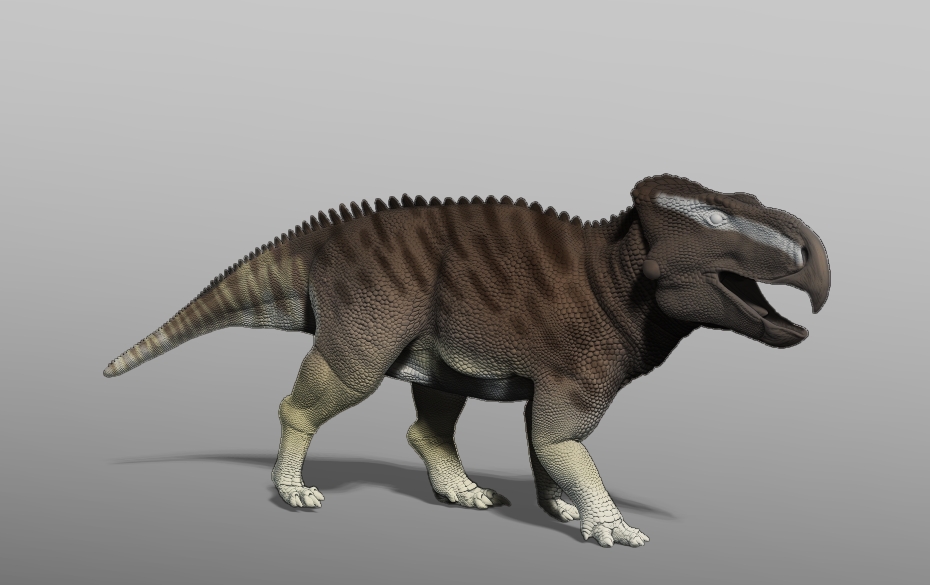 Ferenceratops