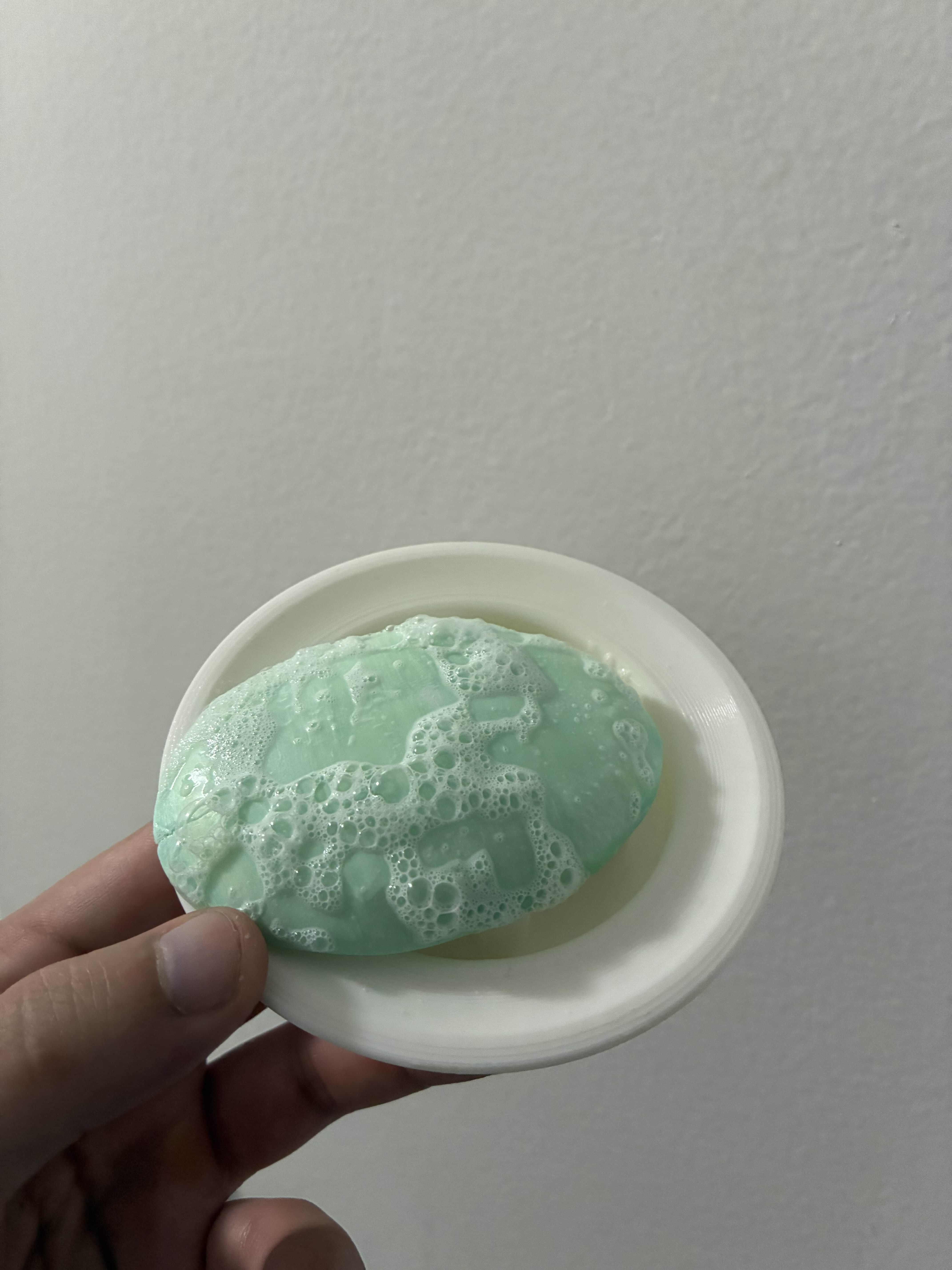 Soap Tray for Dorm