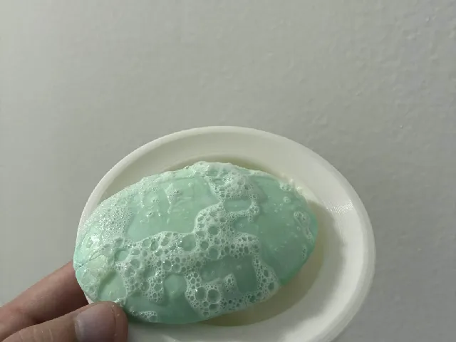 Soap Tray for Dorm