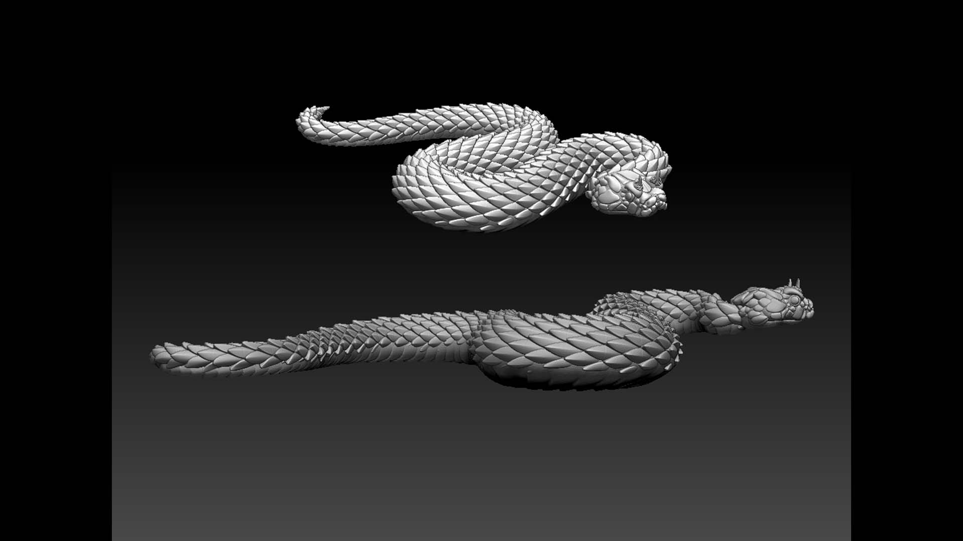 snake — thumbnail 8