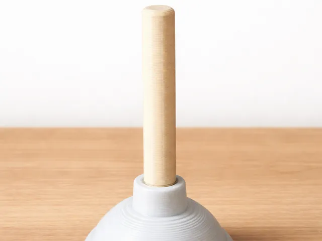 Toilet Plunger