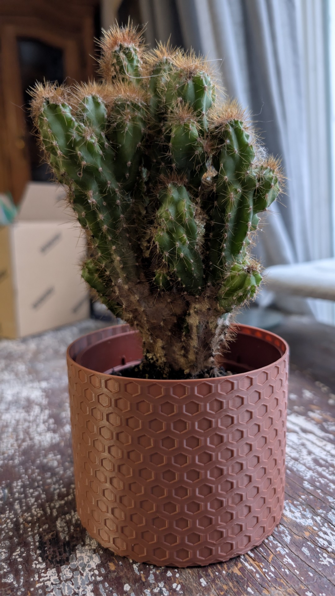 Honeycomb Planter (Fits 10cm Pots) - 2 Heights
