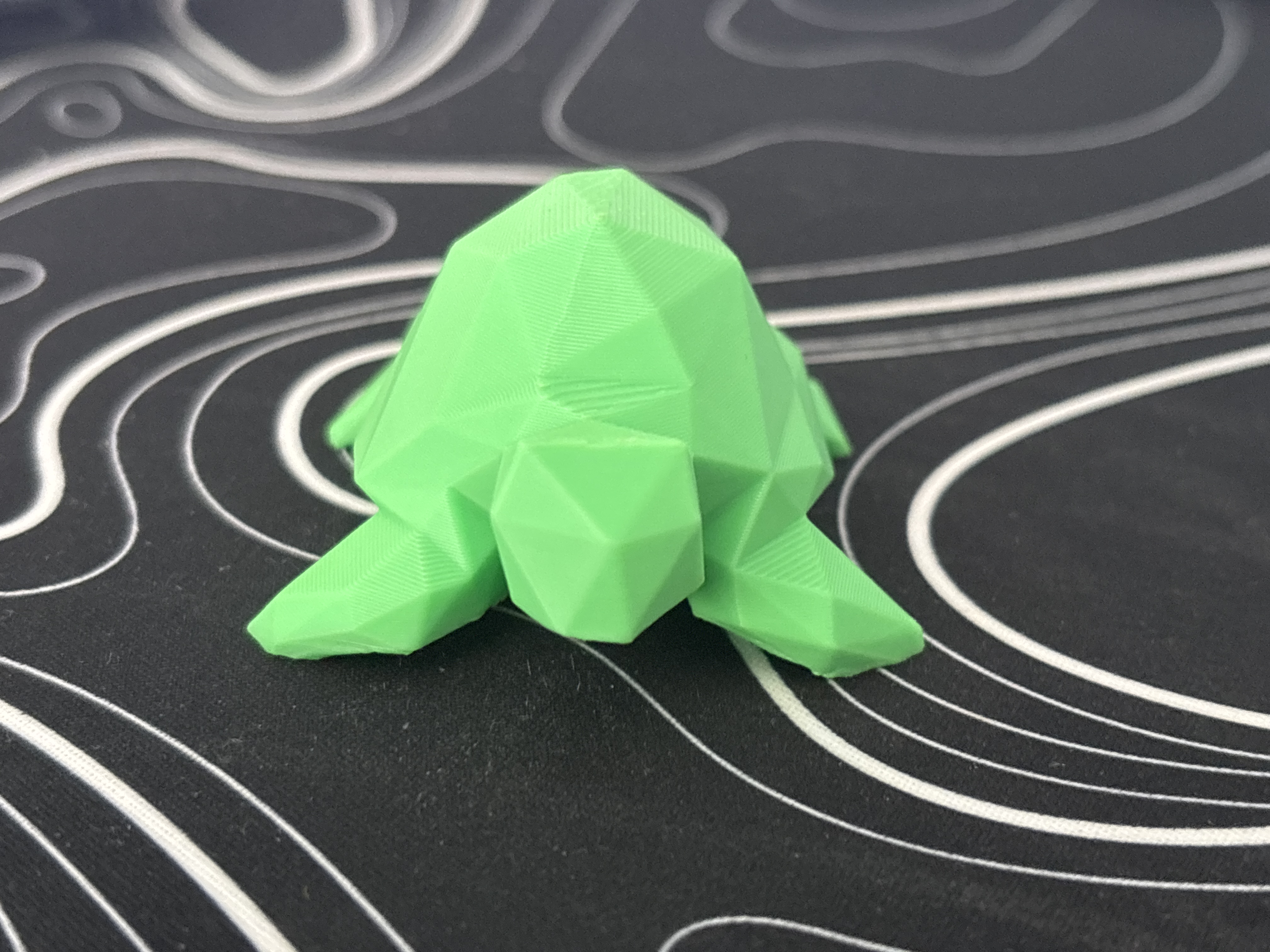 low poly turtle