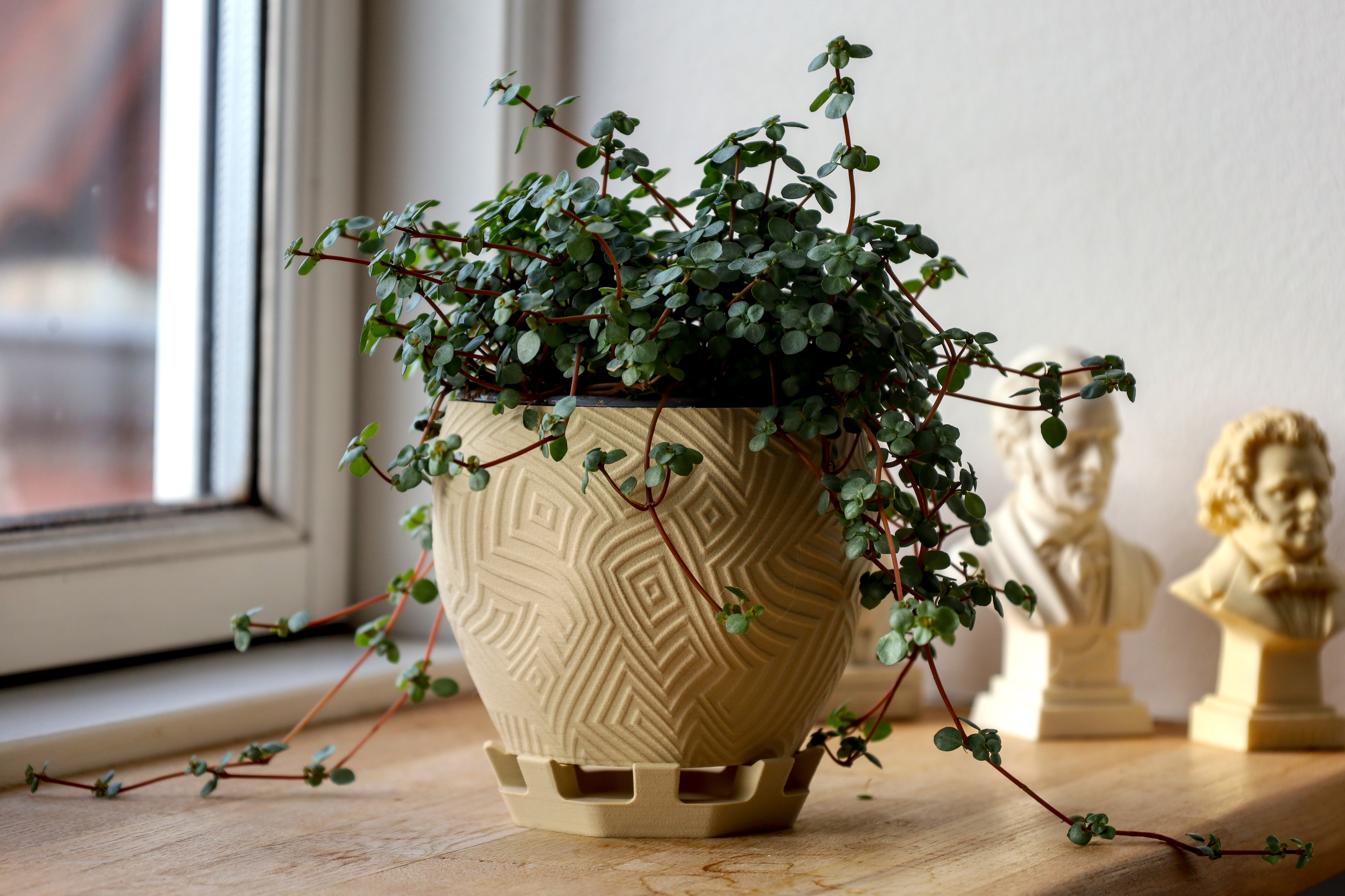 Pot 27