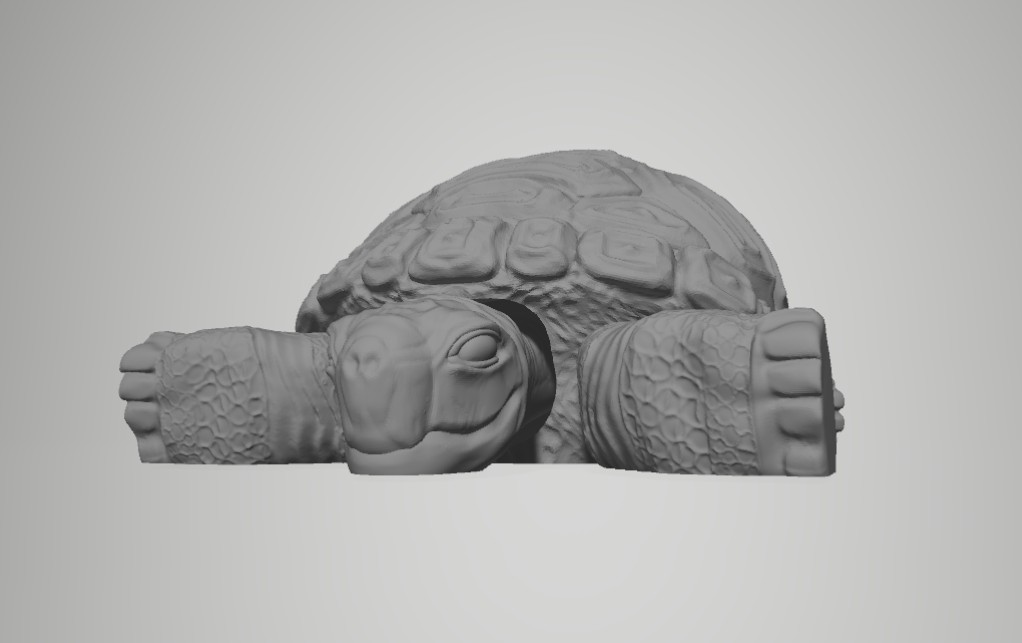 Articulated Radiata Tortoise Model
