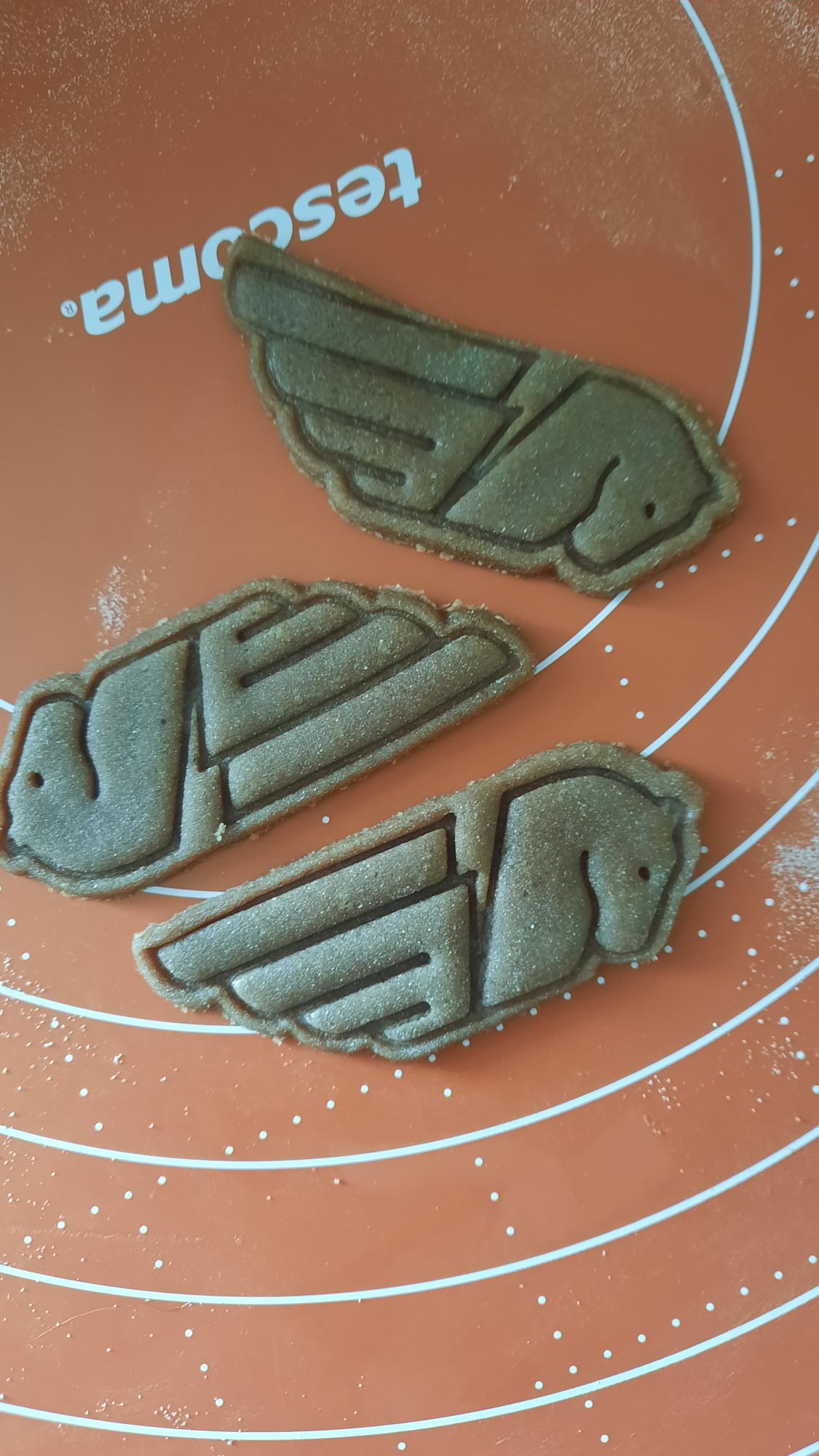 cookie cutter Buell old pegas