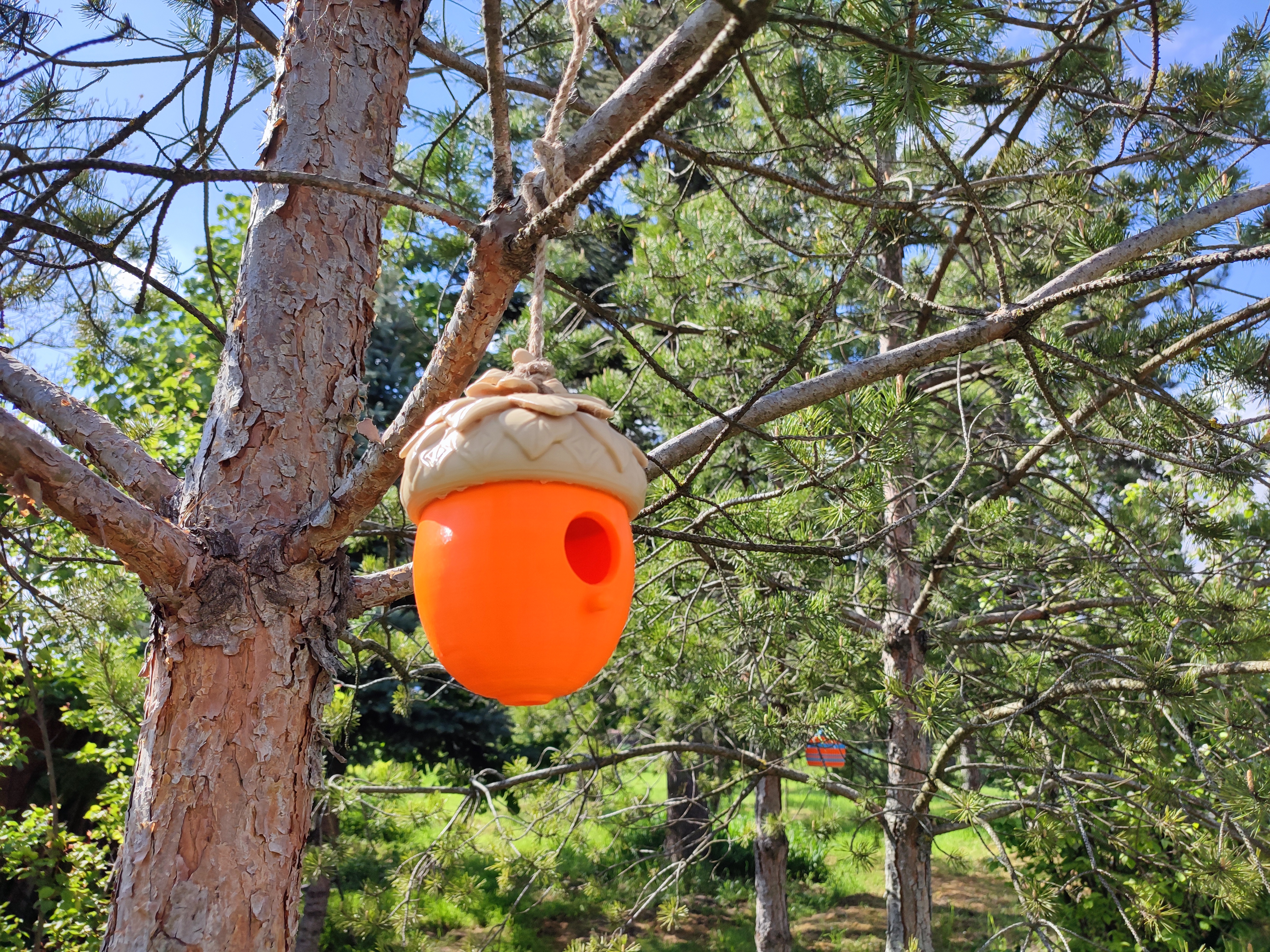 Acorn Birdhouse