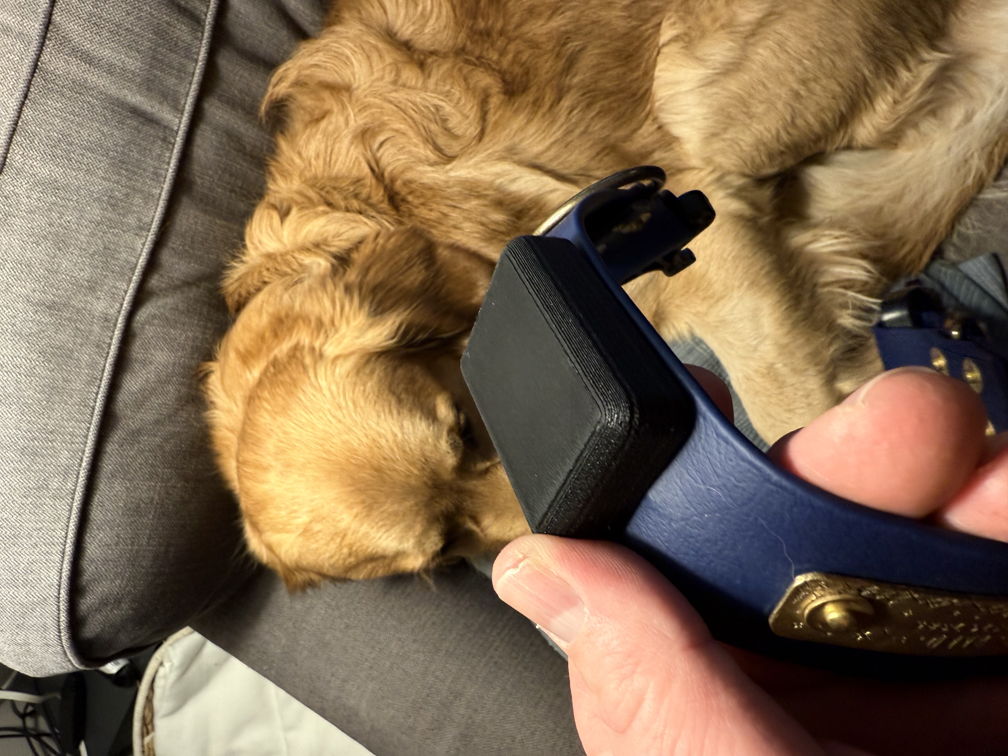 Dog Collar Embedded (Print Inside) AirTag Holder